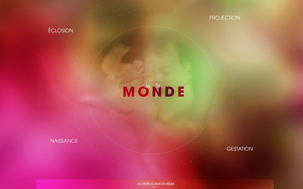 project-img