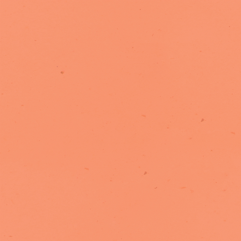 project-img