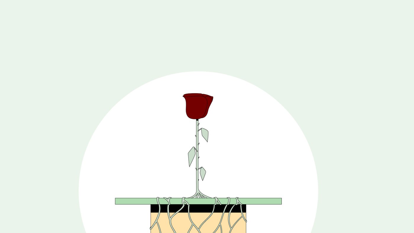 project-img