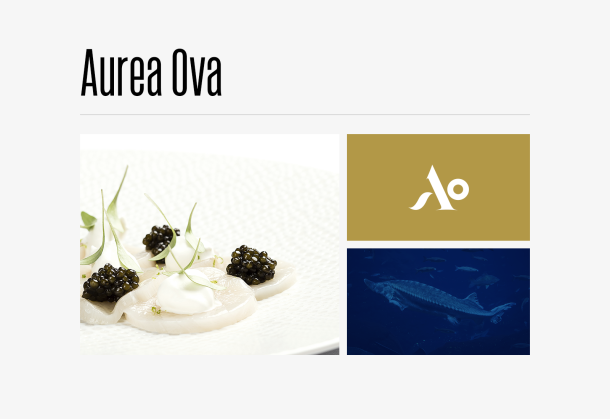 Aurea Ova