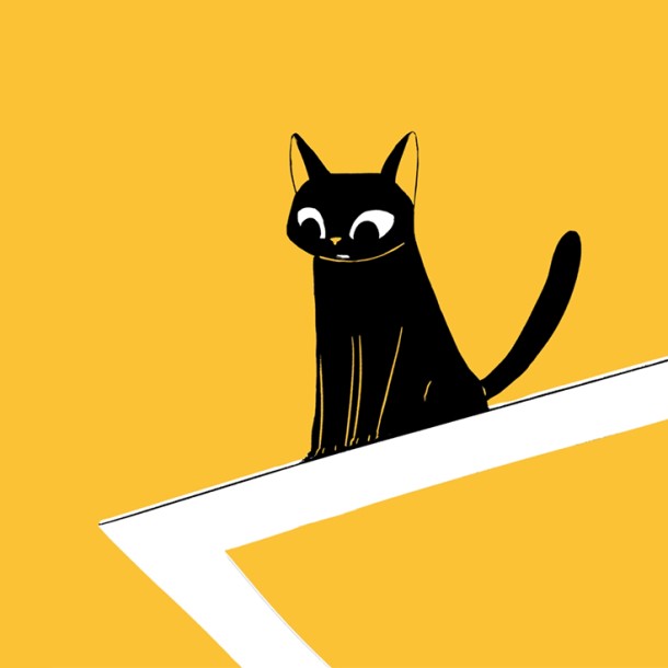 Cat & balance