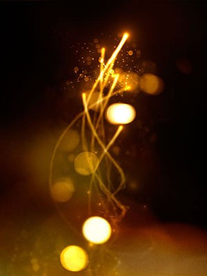 Estee Lauder - 2012 Best Wishes