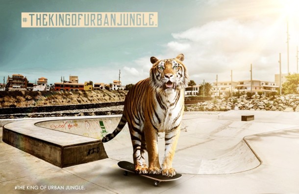 King of Urban Jungle