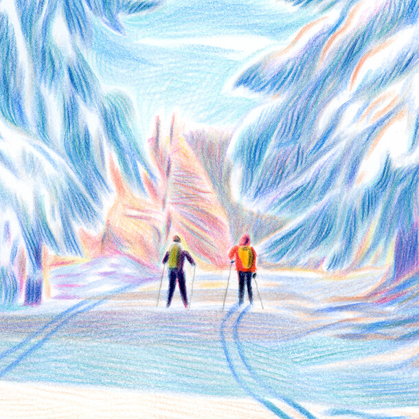 The snowy walk