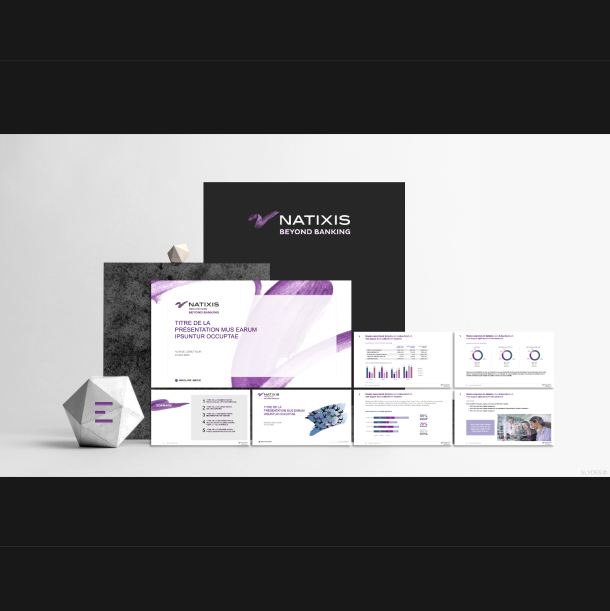 Natixis - BPCE