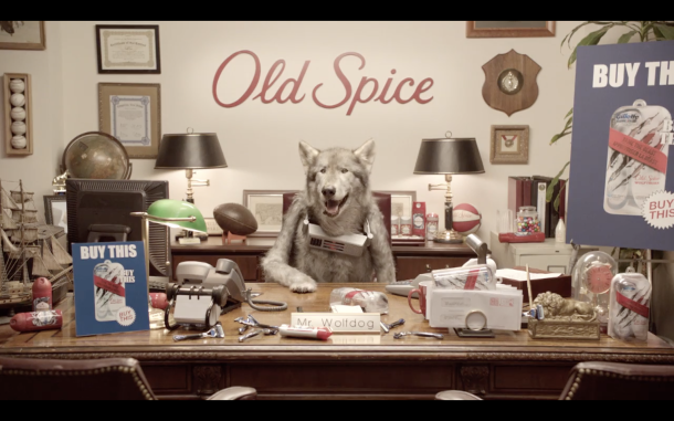 OLD SPICE - MR WOLFDOG