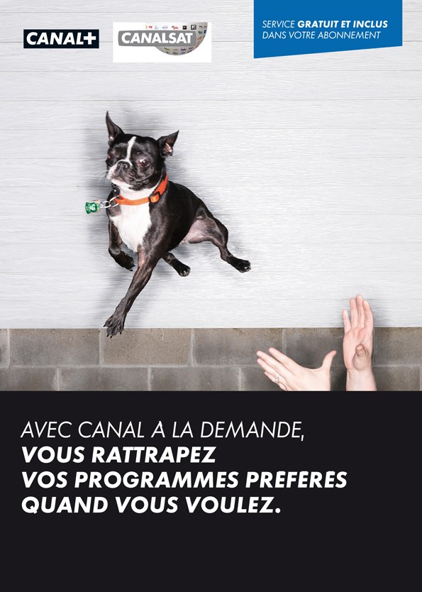 Canal + // catchup