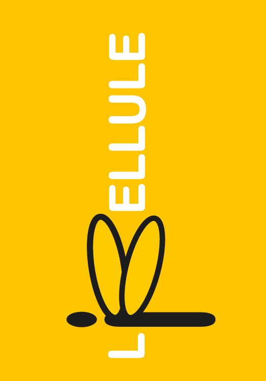Libellule