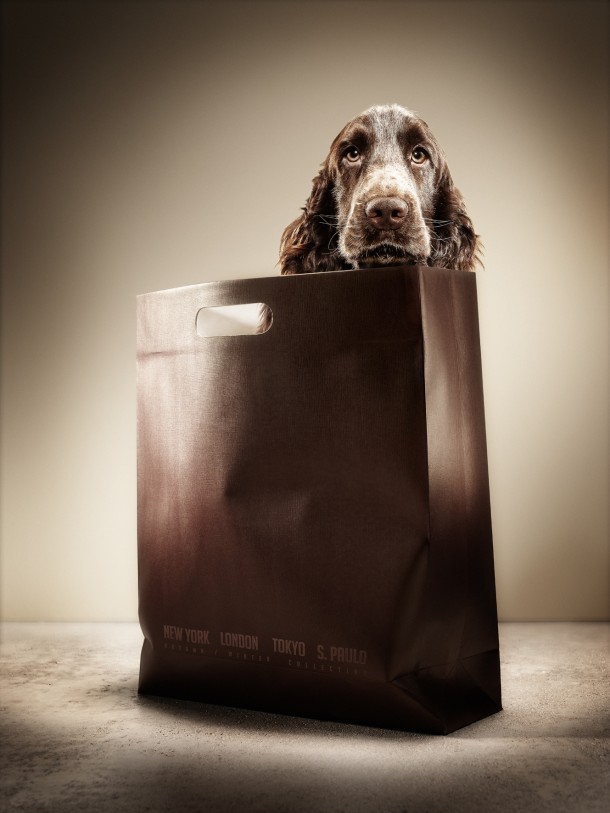 ANIMAL PROTECTION