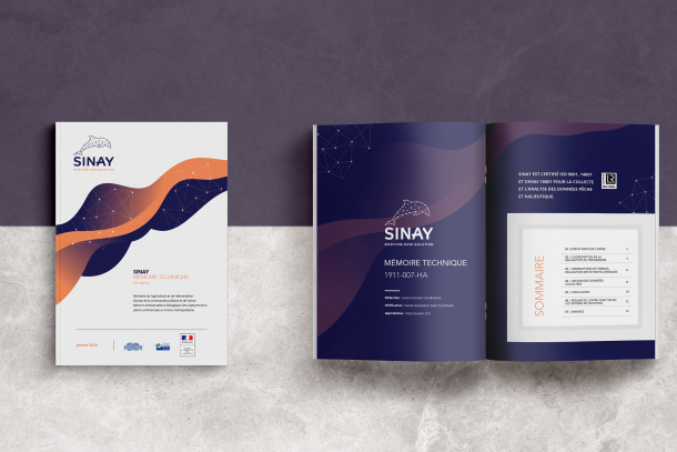 Sinay book with PPT