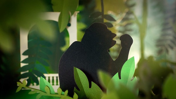 Sur la piste des grands singes