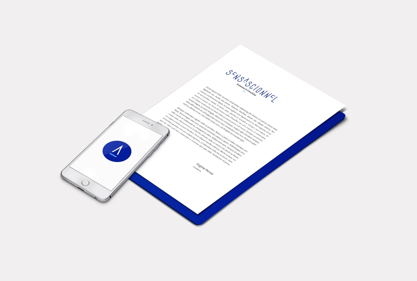 project-img