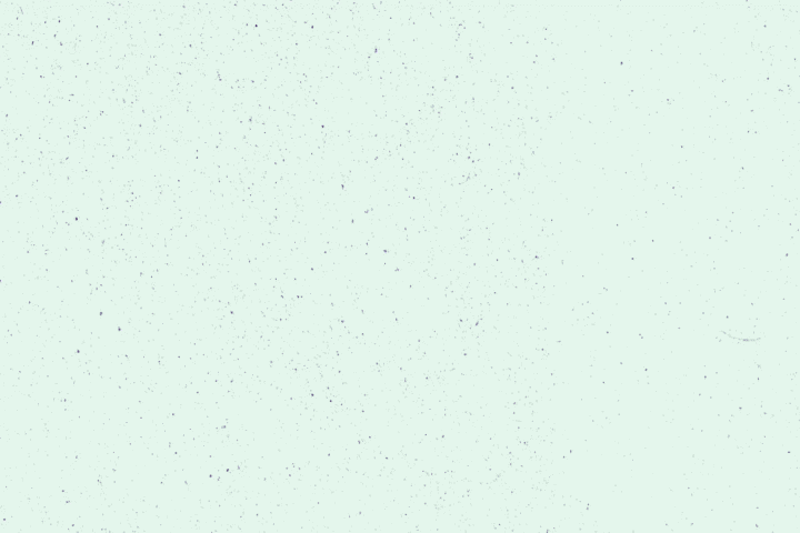 project-img