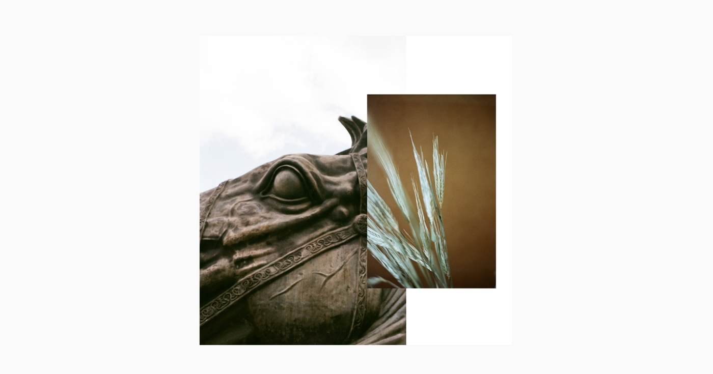 project-img