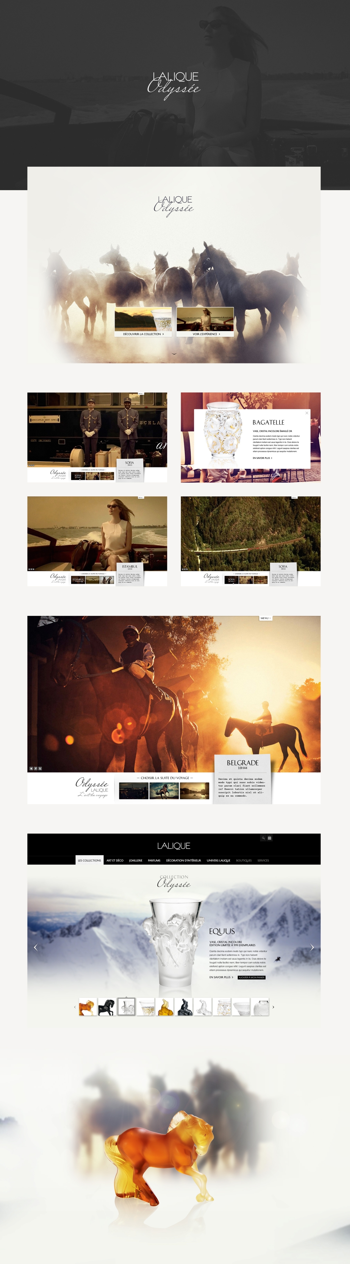 project-img