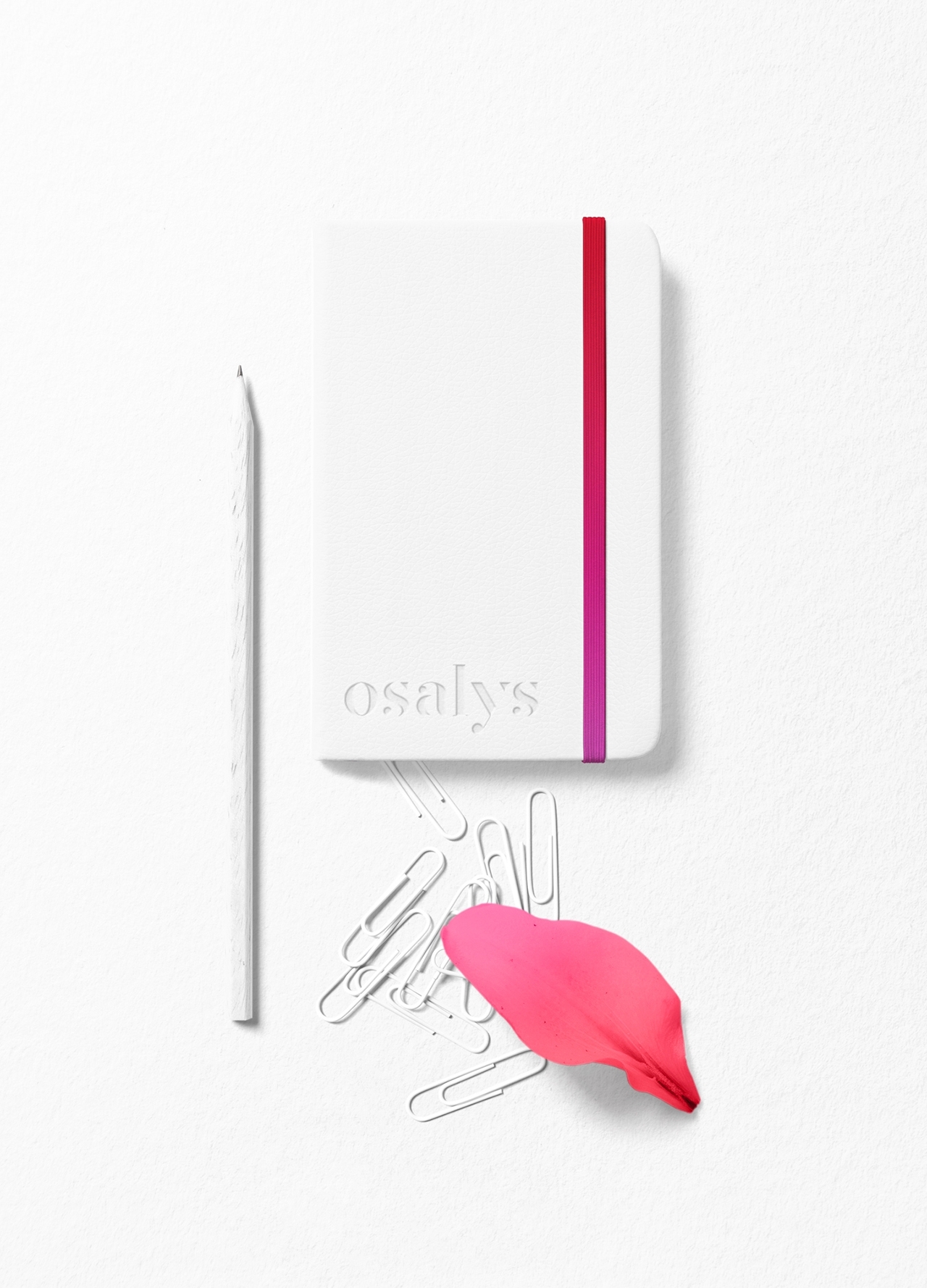 project-img