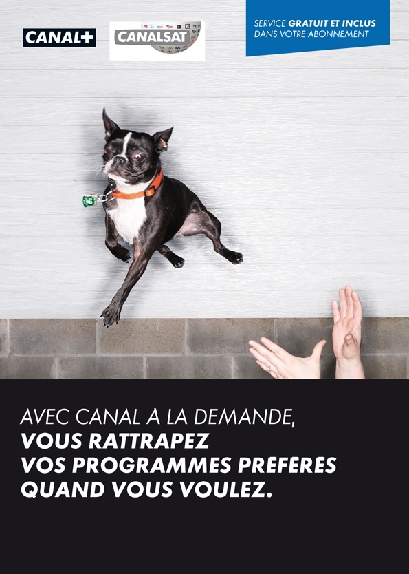project-img