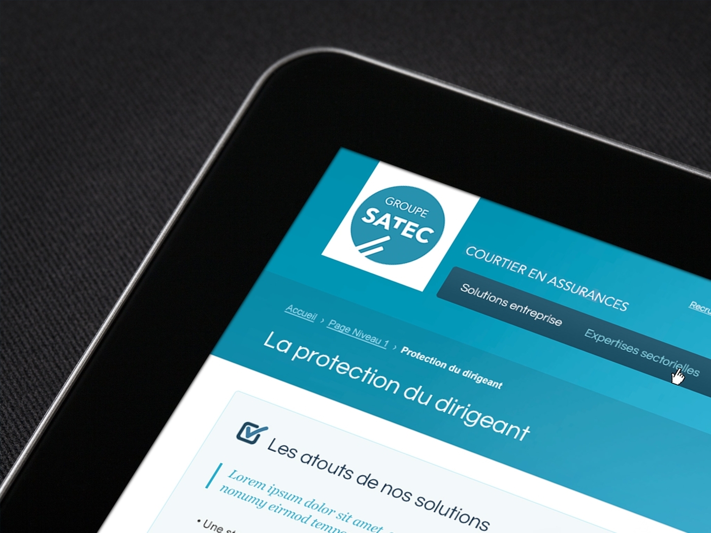 project-img