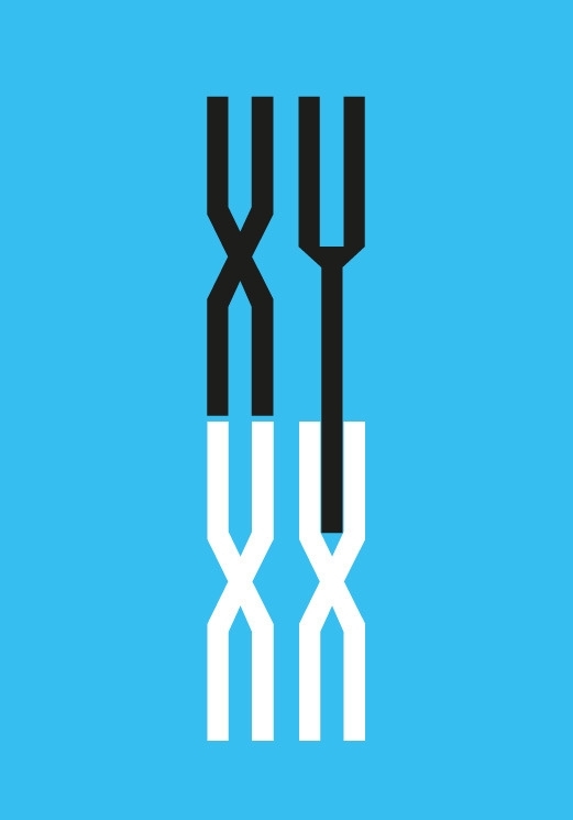 project-img