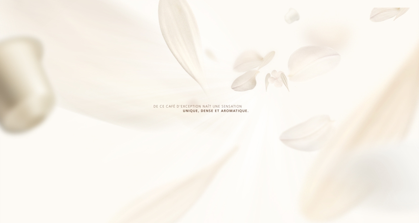 project-img