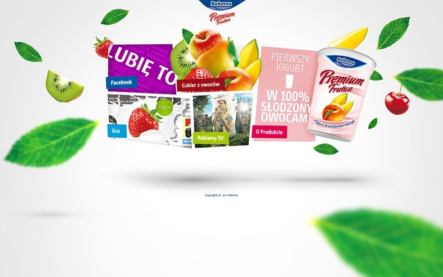 project-img