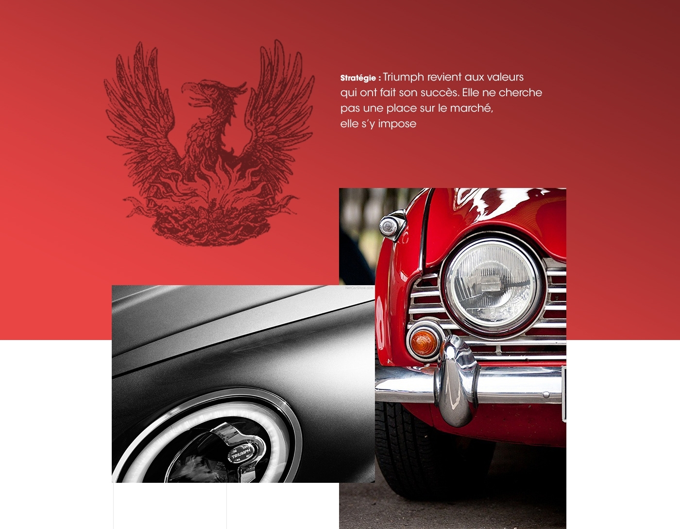 project-img
