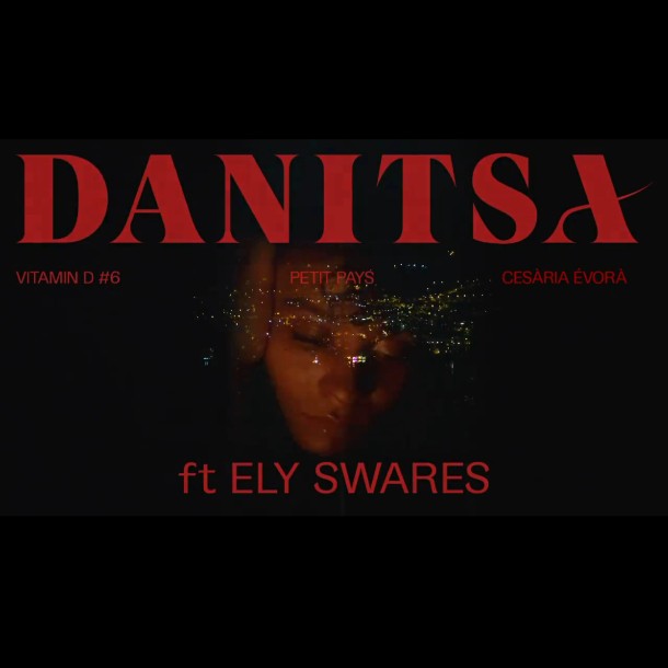Logo pour la chanteuse Danitsa