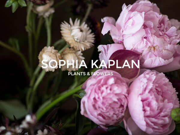 Sophia Kaplan