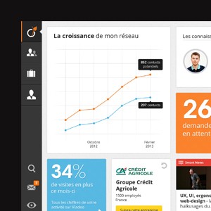 Viadeo iPad app