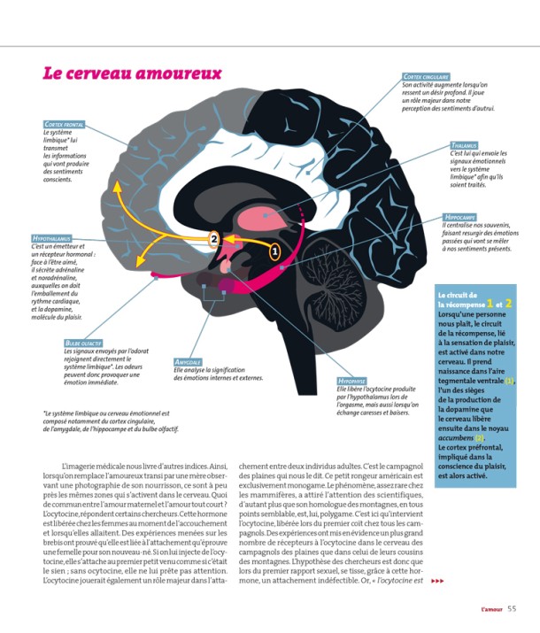 L'amour