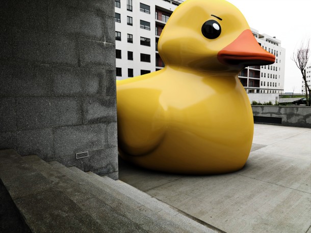 Rubber Ducks
