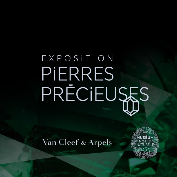 VAN CLEEF & ARPELS  | PIERRES PRÉCIEUSES